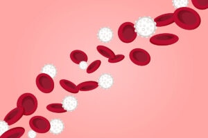 illustration of blood stem cells