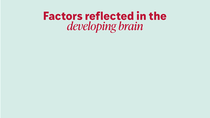 Socioeconomic factors linked to lasting imprint in kids’ brains