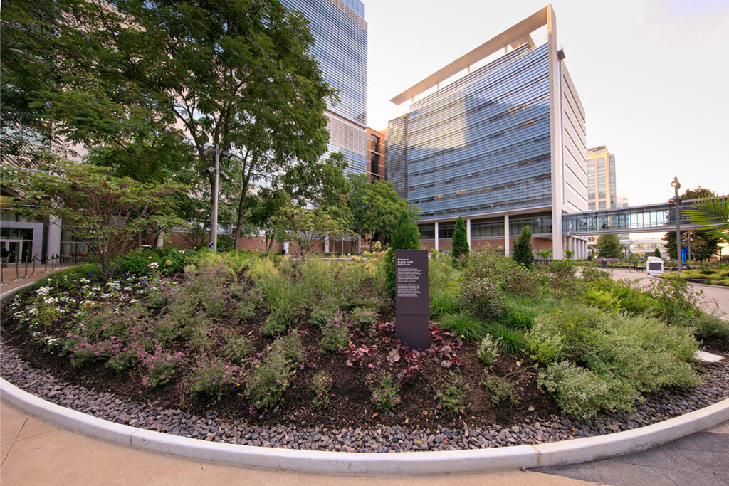 A flower bed featuring white, pink and purple flowers